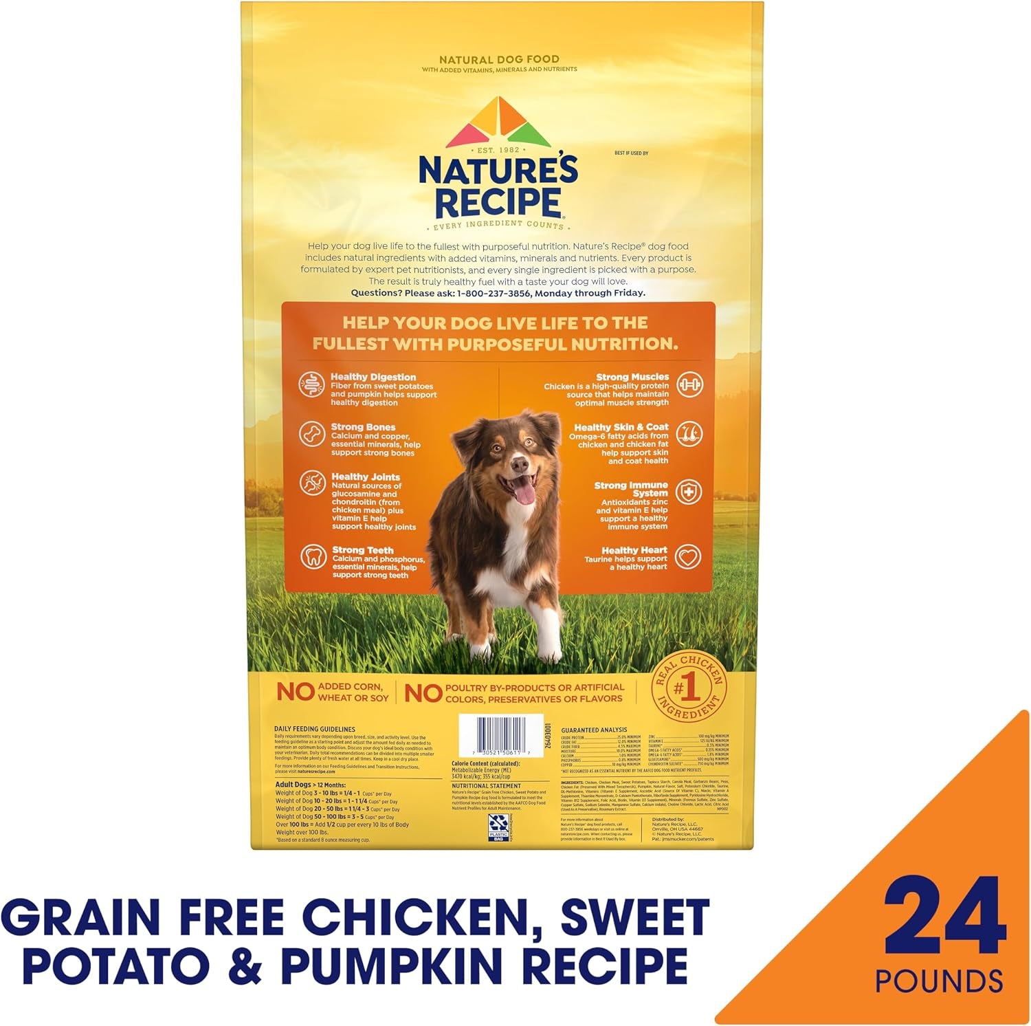 nature-s-recipe-grain-free-chicken-sweet-potato-pumpkin-recipe-dry-dog-food-24-lb-bag