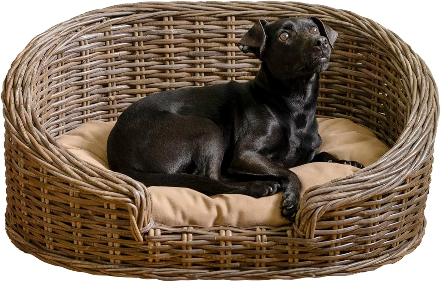 dbd1001a-curvy-33-x-21-25-classic-handwoven-rattan-dog-bed-with-machine-washable-cushion-kubu-gray