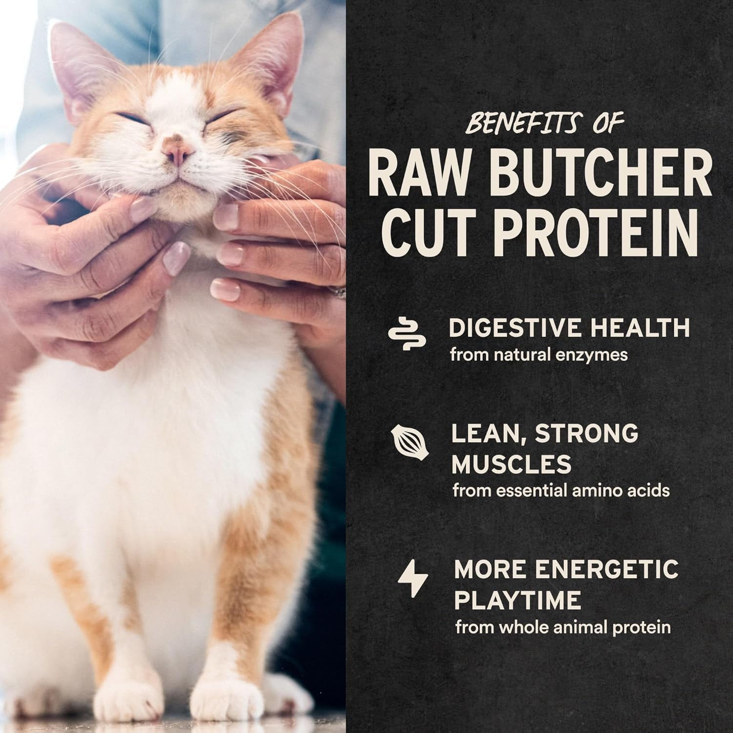 vital-essentials-freeze-dried-minnows-cat-treats-1-0-oz-bag-single-ingredient-premium-quality-protein-grain-free-healthy-treats-usa-made-with-u-s-globally-sourced-ingredients