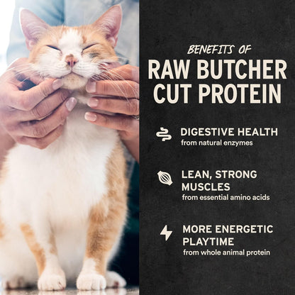Vital Essentials Freeze Dried Minnows Cat Treats, 1.0 Oz Bag | Single Ingredient, Premium Quality Protein, Grain Free, Healthy Treats, USA Made with U.S. & Globally Sourced Ingredients4