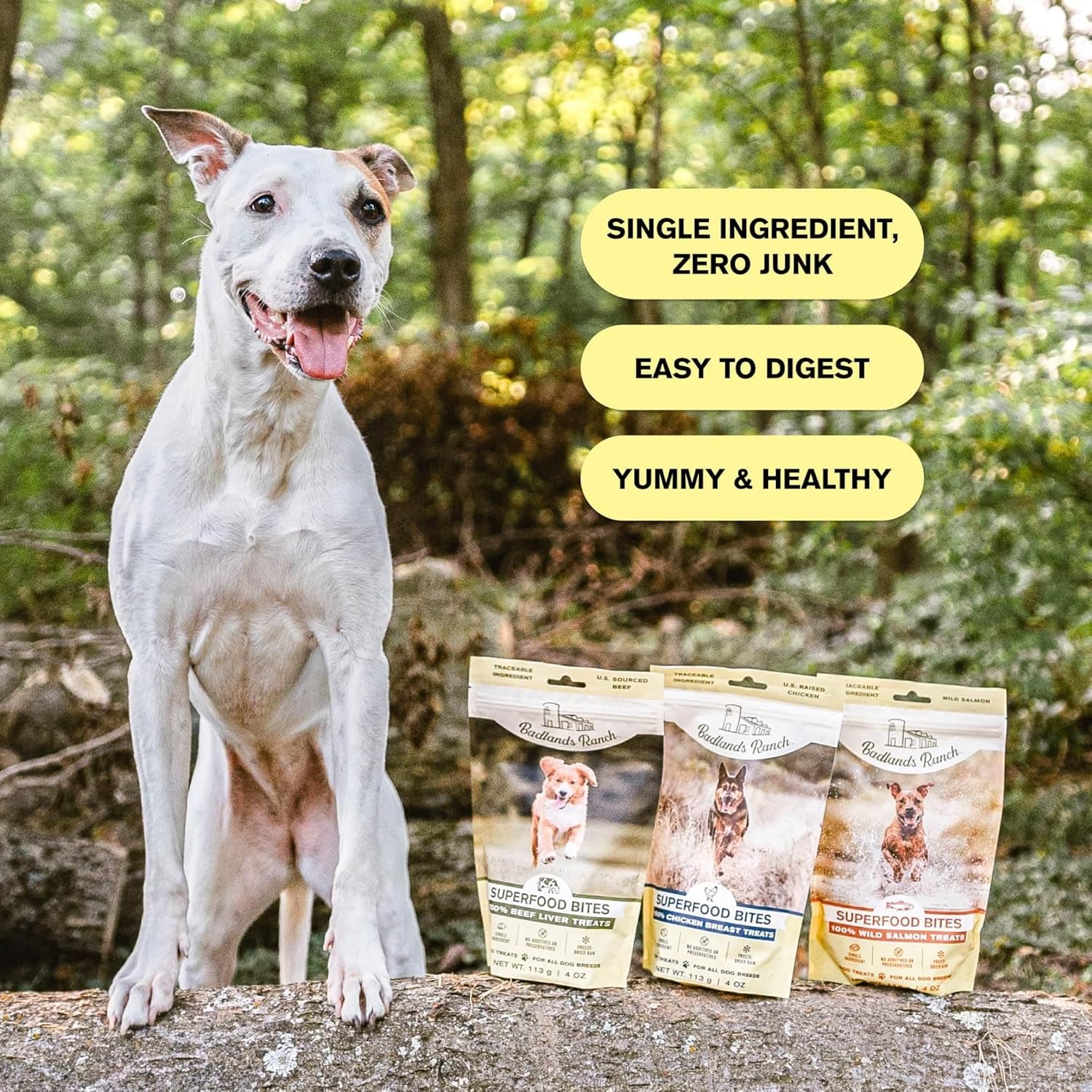 badlands-ranch-by-katherine-heigl-superfood-bite-freeze-dried-raw-beef-liver-dog-treats-high-protein-single-ingredient-snacks-for-training-rewards-daily-wellness