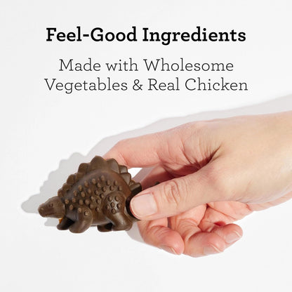 Dreambone Chicken Dinochews Dog Treats, Daily Rawhide-Free Chew, Digests Safely and Completely, with Real Protein, Chicken and Veggies, 14 Count7
