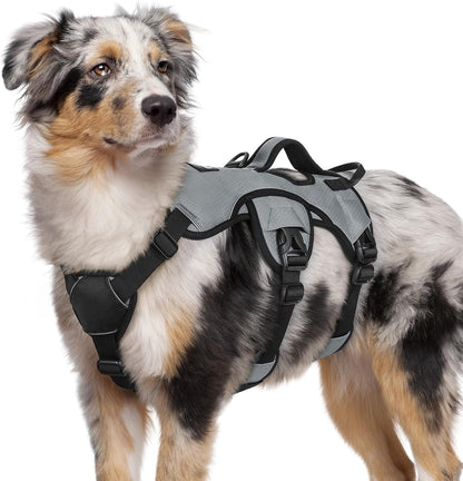 Rabbitgoo Escape Proof Dog Harness for Large, No Pull with Lift Handle | No Escape, Full Soft Padded, Reflective Adjustable Vest, Leash Clip for Walking Hiking Training, Black, Large27