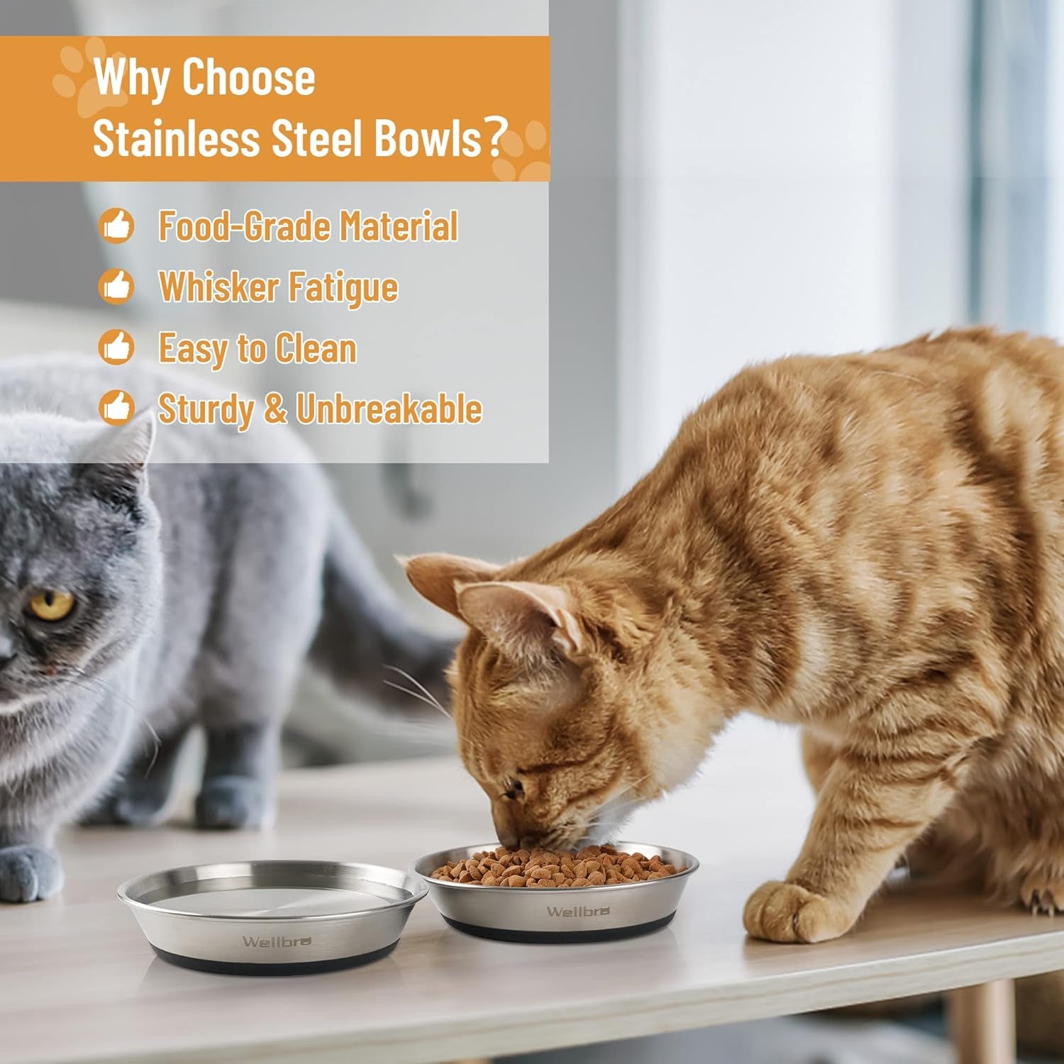 cat-bowls-2-pcs-stainless-steel-cat-bowls-for-food-and-water-whisker-fatigue-shallow-non-slip-dishes-plates-for-small-dog-puppies-cats