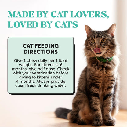 Fresh Breath Dental Bites for Cats – Crunchy & Creamy Cat Dental Treats for Fresh Breath, Tartar & Plaque Control – Dual-Texture Cat Oral Care Bites for Bright Teeth & Healthy Gums – 30 Day Supply6