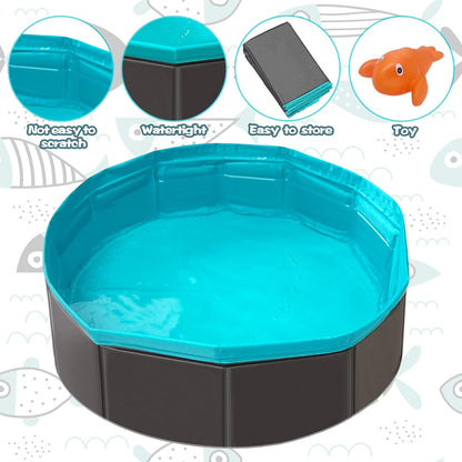 Cat Pool Toy, Water Toys for Cats, Best Cat Toys for Bored Indoor Cats, Hunting Toys for Indoor Catss, Portable Play Mat, Pet Swimming Pool for Self Play Enrichment (1Pcs Pool + 6Pcs Toy)5