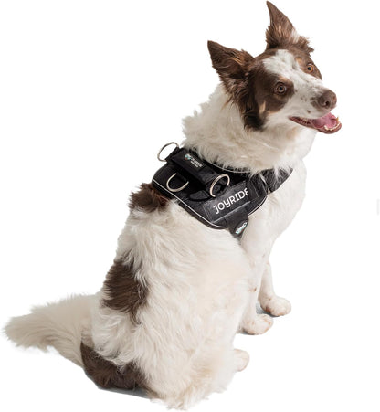 Joyride Dog Harness 2.0 | No-Pull | Blue 2.0 | M | Reflective No-Choke Quick-Fit Vest with 3 Leash Clips and Escape-Resistant Design for Easier Walks and Training22