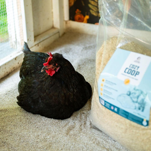 Cozy Coop, Siftable No Dust Hemp Bedding, 10Lb, Made in USA | Super Fine, Low Dust & Highly Absorbent, Reduces Coop Odor, Ideal for Deep Litter, Nesting Boxes & Brooders9