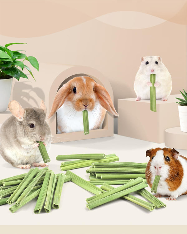 Bissap 35PCS Rabbit Chew Sticks, Natural Papaya Stems Bunny Chews Treats for Rabbit Hamster Chinchilla Guinea Pig Small Animals Organic Molar Chewing Snack6