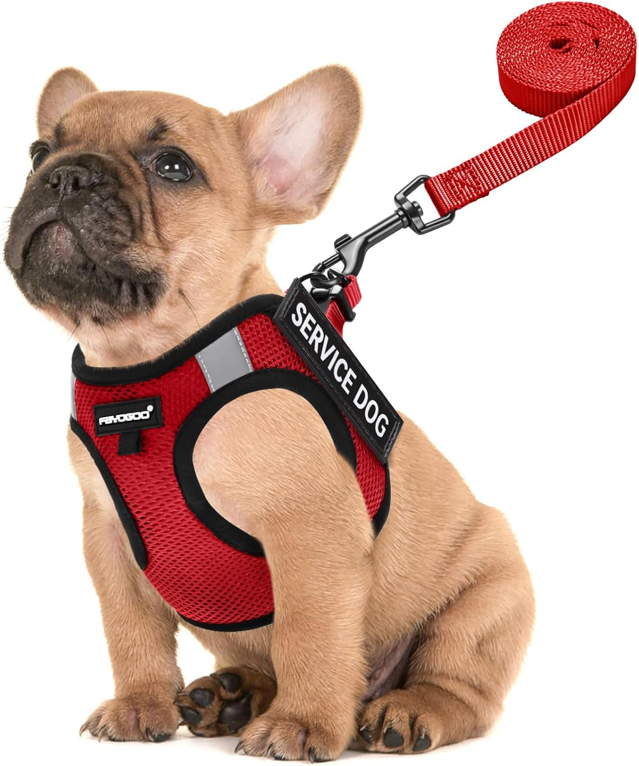 fayogoo-service-dog-vest-for-small-dogs-lightweight-dog-harness-with-6pcs-removable-patches-puppy-harness-and-leash-set-for-walking-training
