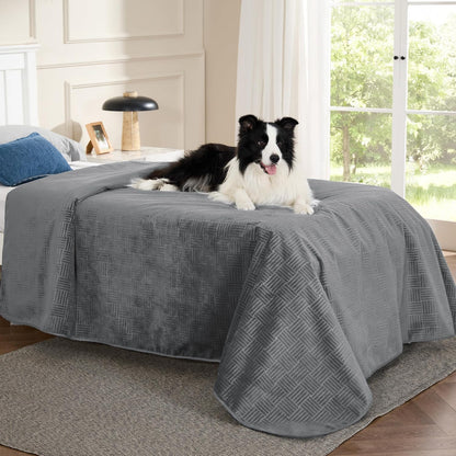 Bedsure Waterproof Couch Cover for Dogs Washable - Waterproof Blanket for Large Dogs Couch Sofa Bed Cozy, Lightweight Furniture Protector for Pet Cat Quick Drying, Ash Grey, 52X82In24