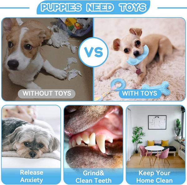 Petcare 6 Pack Puppy Chew Toys - Blue, Soft Rubber Rope & Bone Ball Teething Toys for Small Dogs & Puppies, Including Yorkie6