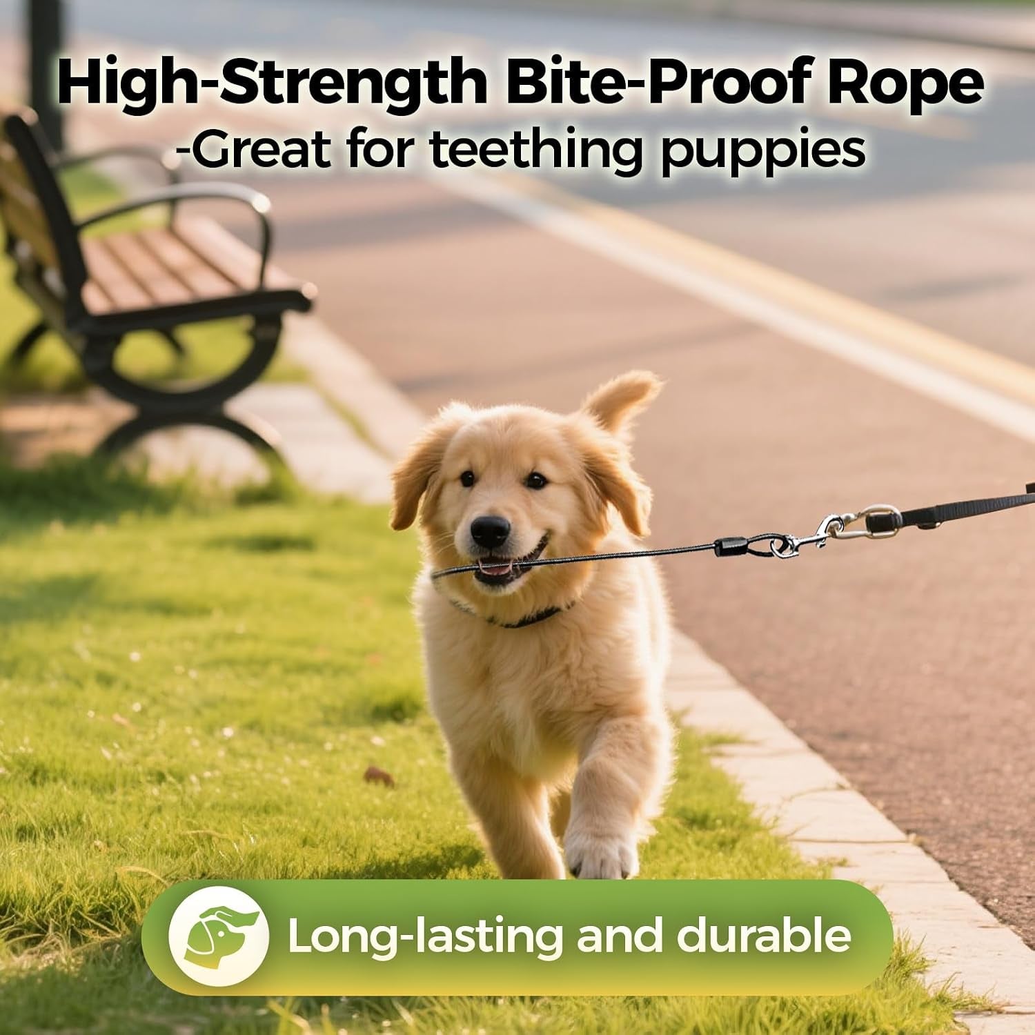 chew-proof-dog-leash-2-pack-metal-cable-lead-collar-extender-non-tangle-connect-dog-leash-for-teething-puppies-small-medium-and-large-dogs-for-collars-and-harnesses-5mm-m