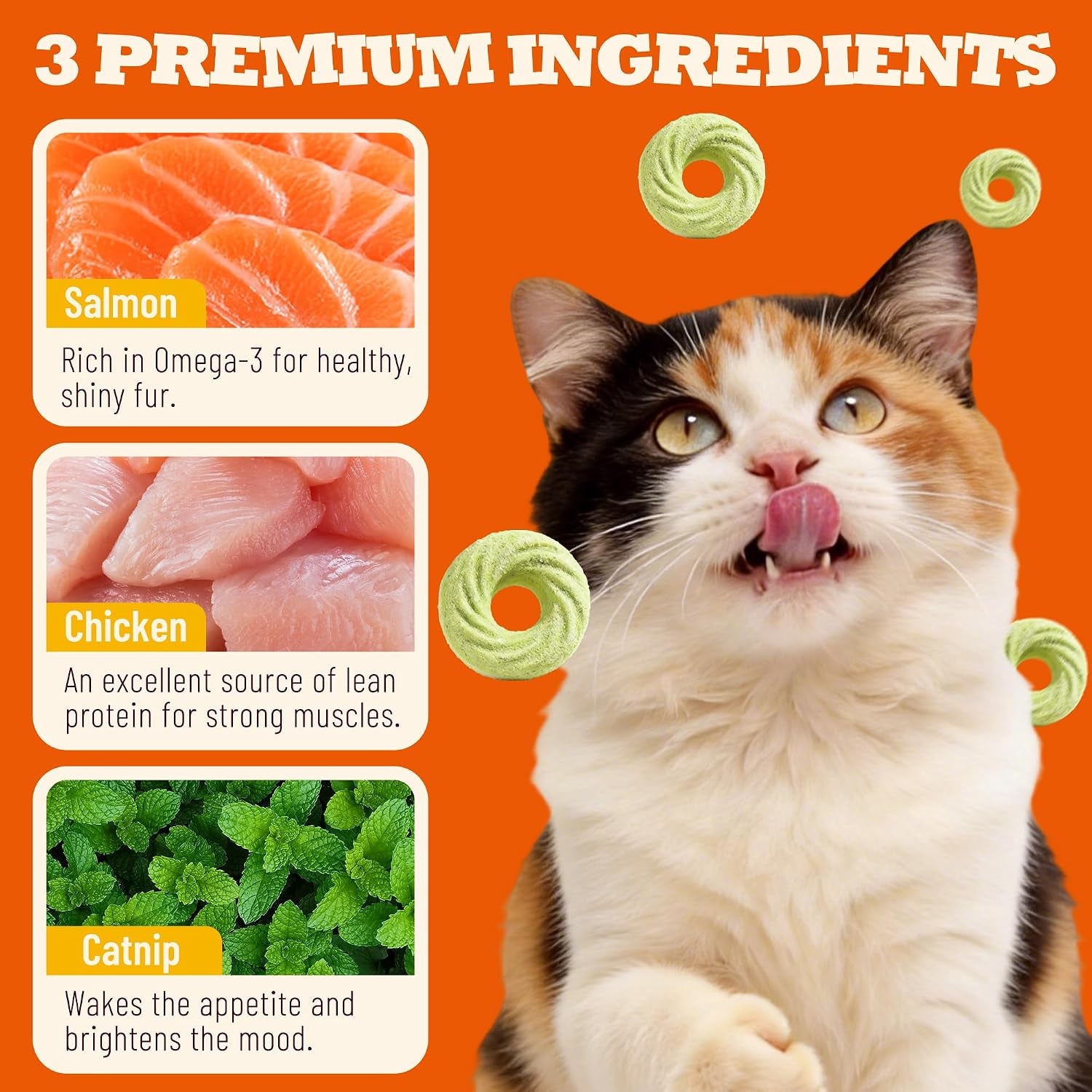 9-oz-catnip-cat-treats-with-vitamins-teeth-cleaning-training-all-natural-chicken-salmon-catnip-barley-grass-crunchy-cleans-teeth-freshens-breath-helps-hairballs-digestion