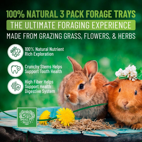 Small Pet Select Forage Tray Bundle, Rabbits & Guinea Pigs, 3-Pack | Dandelion, Flower & Herb Mix, 2.5 Oz Each, Natural Foraging Enrichment for Rabbits, Guinea Pigs & Small Pets2