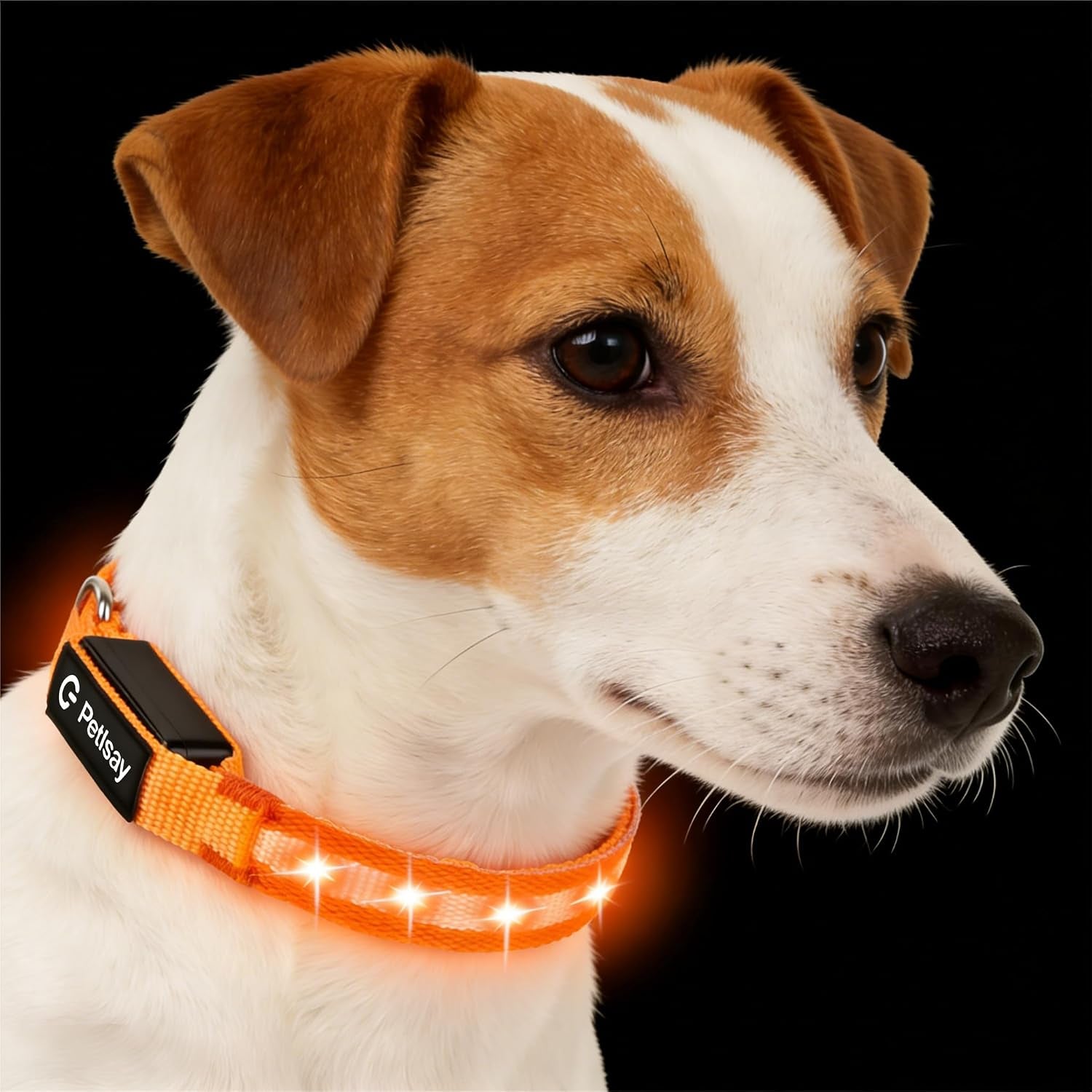 super-bright-led-dog-collar-waterproof-light-up-collarsgreen-medium-lighted-dog-collar-with-adjustable-fit-soft-nylon-comfort-usb-c-rechargeable-glow-in-the-dark-visibility-for-night-walks
