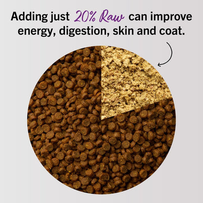 Stella & Chewy'S Freeze-Dried Raw Cat Dinner Morsels - Premium Chicken Recipe with 98% Cage-Free Meat & Organs - Natural Grain-Free Cat & Kitten Food - Made in USA - 3.5 Oz5
