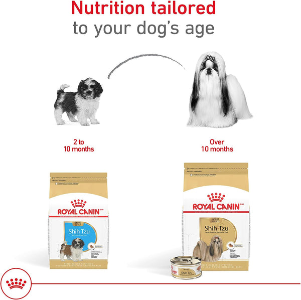 Royal Canin Breed Health Nutrition Shih Tzu Adult Loaf in Sauce Dog Food, 3 Oz (Pack of 6)6