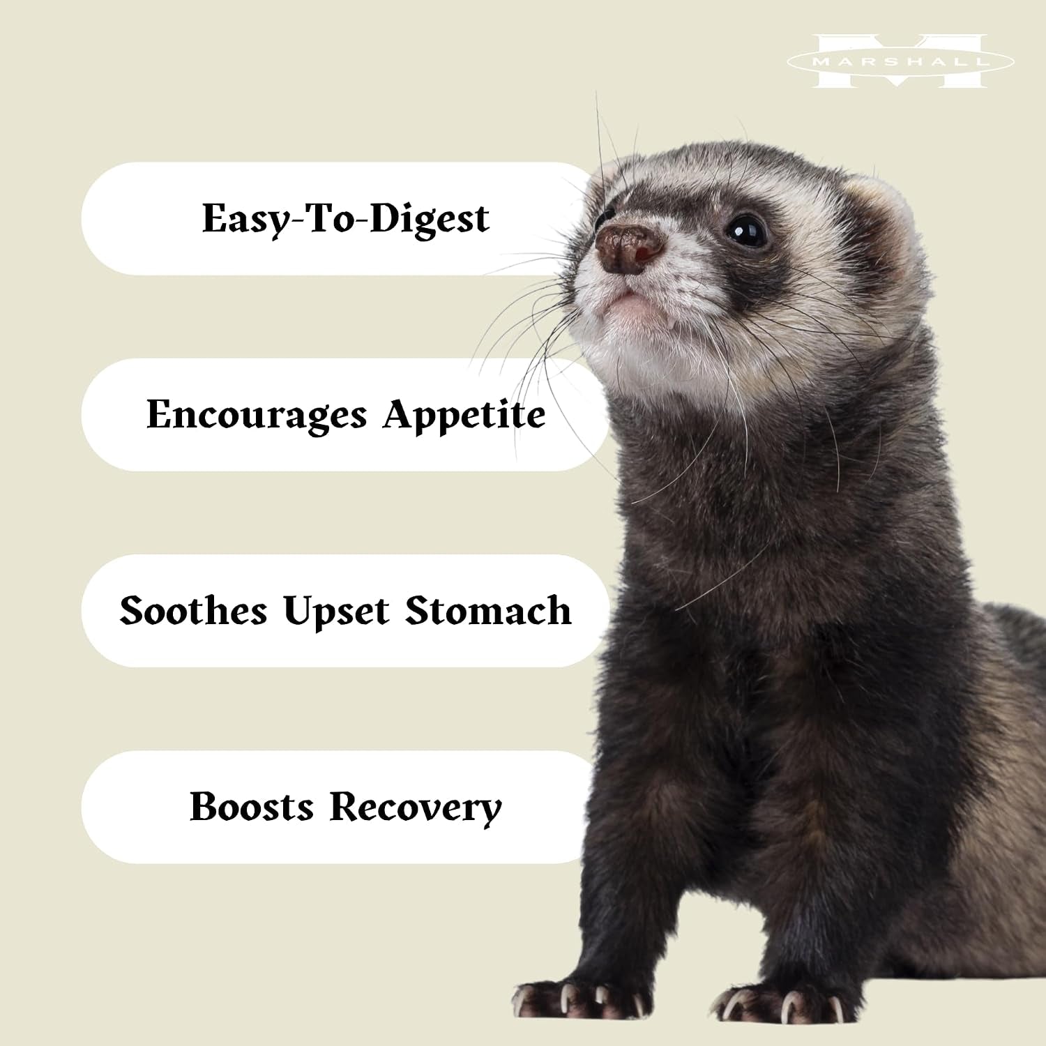 marshall-uncle-jim-s-duk-soup-mix-for-ferrets-4-5-oz-each-digestive-support-recovery-vitality-aid-includes-2-squeaky-toys-for-enrichment-fun-pack-of-4