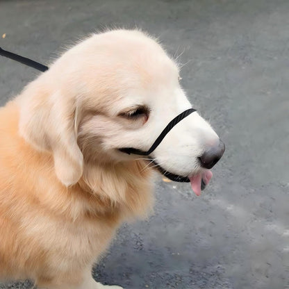 No Pull Dog Leash - Figure 8 Slip Lead Head Collar for Large Dogs (Black)2