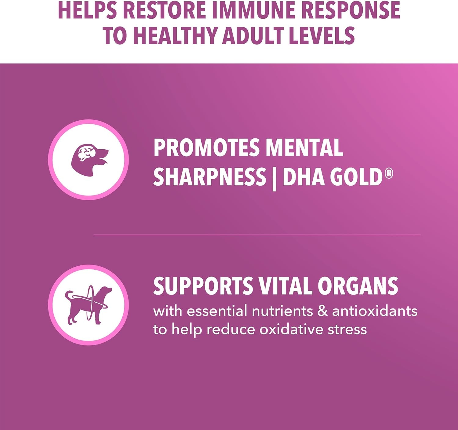 iams-proactive-health-healthy-aging-dry-dog-food-chicken-29-1-lb-veterinarian-recommended-dha-gold-for-mental-visual-sharpness-vitamin-e-beta-carotene-real-chicken-1-ingredient