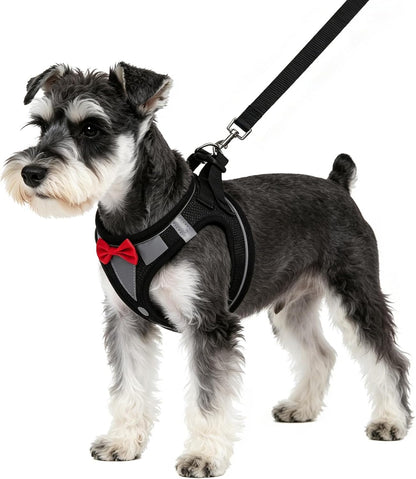 PUPTECK Dog Harness and Leash Set for Small Medium Dogs No Pull Step-In Soft Mesh Puppy Cat Vest Harnesses Reflective at Night, Green S43