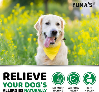 Dog Allergy Relief Chews - Dog Itching Skin Relief Treatment Pills - 170 Treats - Anti-Itch - Itchy and Paw Licking - Hot Spots - Omega 3 Fish Oil - Dry Skin & Coat Supplement - Beef Liver Flavor4