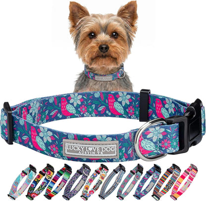 Lucky Love Dog - Easy Click Buckle Dog Collar with Leash Set Combo, Durable & Comfortable for Male & Female Dogs, Pet Collar for Medium Dogs, Secure Fit - Blackbird Combo, Medium52