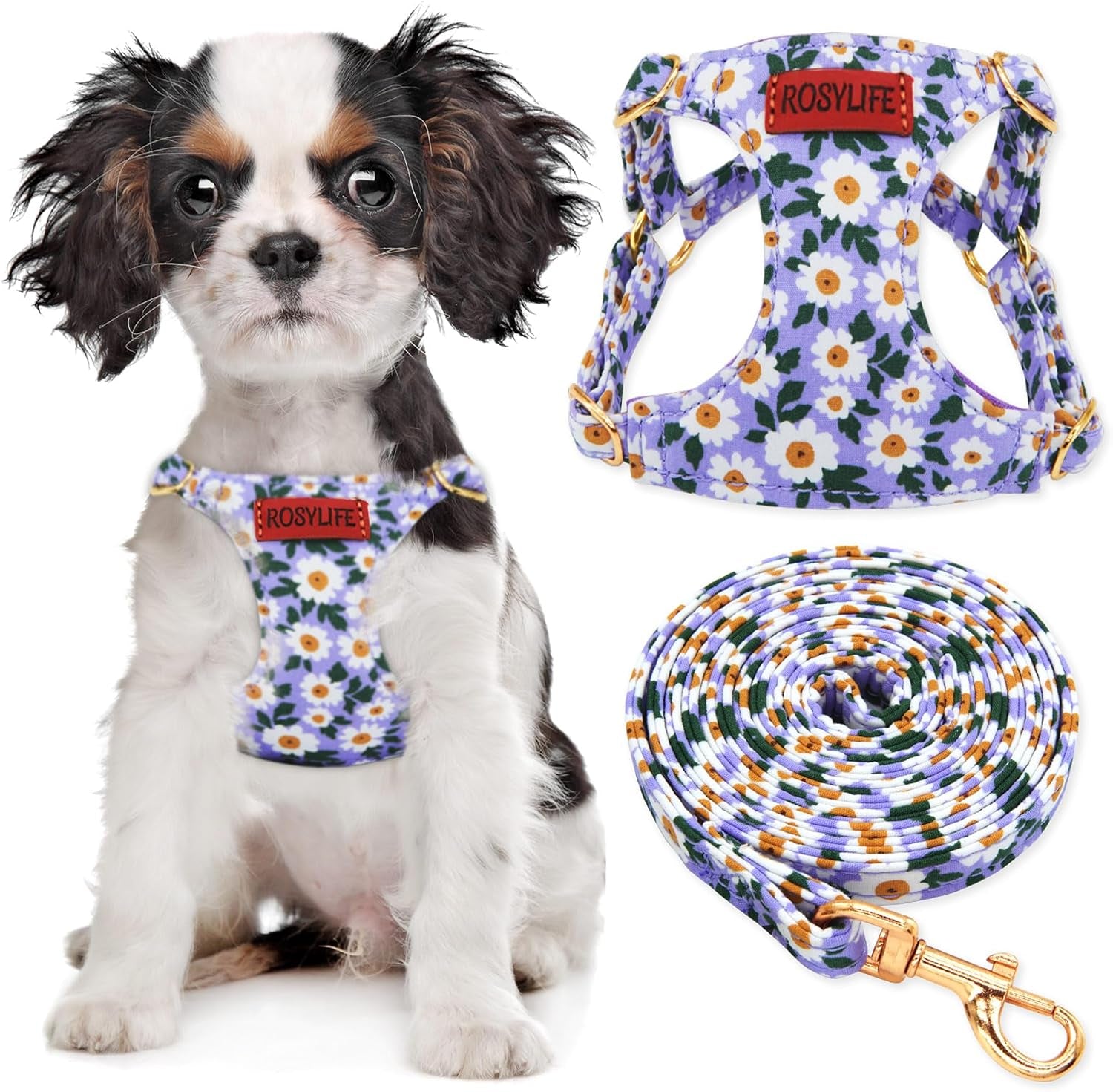 no-pull-dog-harness-leash-set-adjustable-xx-small-pink-daisy-fashionable-cute-stylish-escape-proof-includes-leash