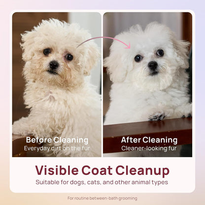 HICC PET Pet Cleaning Wipes for Dogs & Cats, Paws & Coat, 100 Count | Pearl-Textured, with Fermented Coconut Oil and Damask Rose, for Face and Rear-End Cleaning after Walks or between Baths4