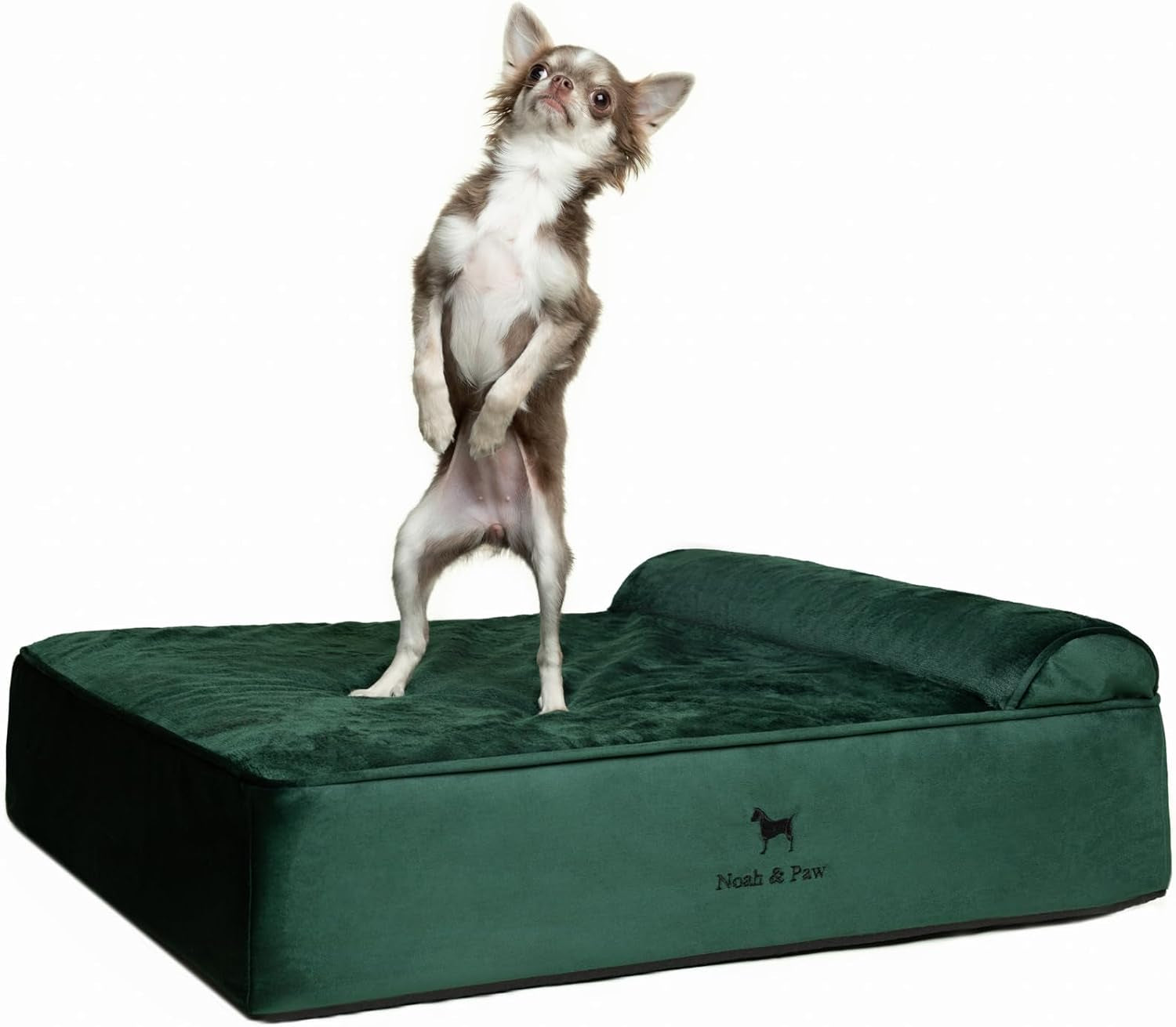 noah-paw-large-dog-bed-35x25x8-7-inch-orthopedic-dog-beds-eggshell-memory-foam-infused-with-cooling-gel-water-resistant-machine-washable-includes-inner-cover-velvet-collection