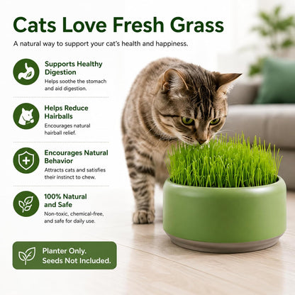 Komorebi Cat-Specific Reusable Hydroponic Herb Growing Box Set-Easy to Use-3 Colour (Seeds Not Included) (Green)7