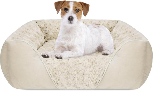 INVENHO Rectangle Washable Orthopedic Dog Bed for Small, Medium and Large Dogs, Soft Calming, Sleeping Puppy Bed Durable Pet Cuddler with Anti-Slip Bottom, S (20"X19"X6")19