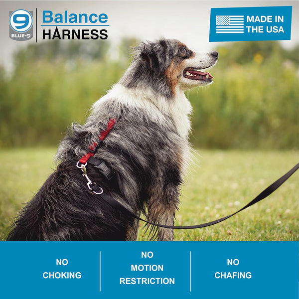 Blue-9 Buckle-Neck Balance Harness, Fully Customizable Fit No-Pull Harness, Ideal for Dog Training and Obedience, Made in the USA, Sky Blue, Medium3