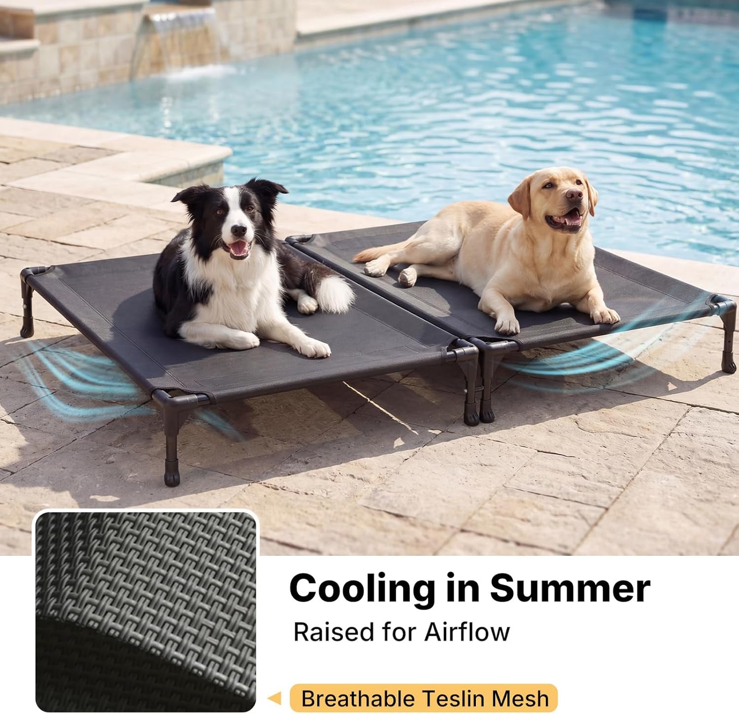 veehoo-cooling-elevated-dog-bed-raised-dog-bed-for-two-dogs-indoor-outdoor-pet-cot-with-breathable-teslin-mesh-anti-slip-rubber-feet-durable-double-dog-bed-for-multi-pet-homes-35-x-25-black