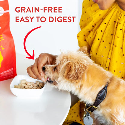 Stella & Chewy'S Freeze-Dried Raw Lil' Bites Itty Bitty Beef Recipe Small Breed Dog Food, 7 Oz. Bag (Beef)6