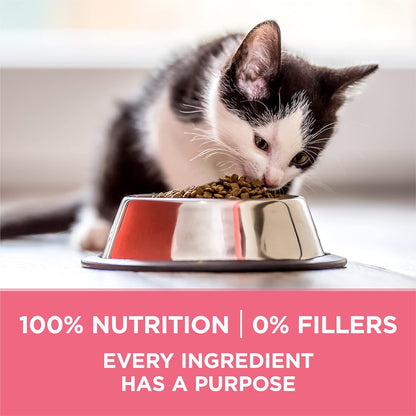 Purina ONE High Protein, Natural Dry Kitten Food, +Plus Healthy Kitten Formula - 7 Lb. Bag8
