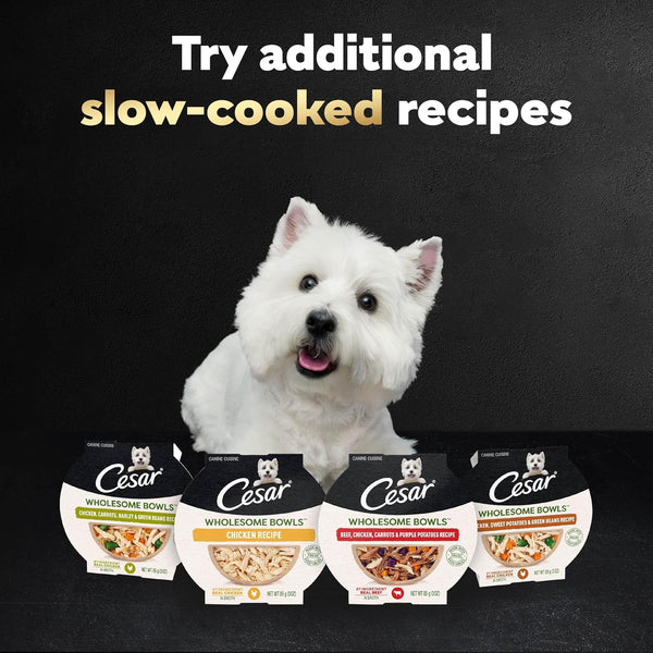 Cesar Wholesome Bowls Wet Dog Food, Chicken Recipe, 3 Oz, 10 Count | Real Chicken #1 Ingredient, Slow-Cooked, 7 Key Ingredients, No By-Products or Artificial Flavors, Easy to Digest8