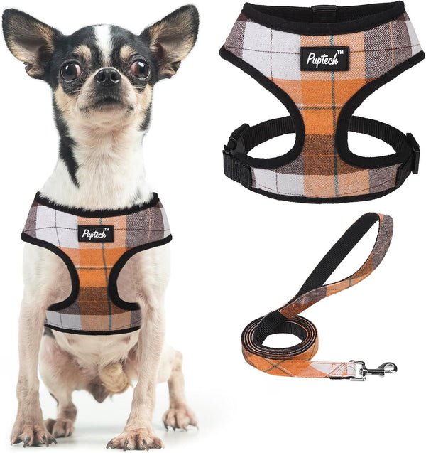 PUPTECK Soft Mesh Dog Harness Small Sized and Leash Set Pet Puppy Cat Comfort Padded Vest No Pull Harnesses, Beige, S85