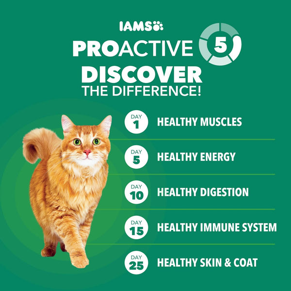 IAMS Proactive Health Healthy Senior Dry Cat Food, Chicken Recipe, 7 Lb | Real Chicken, Antioxidants for Immune Health, Supports Vital Organs, Bones & Joints, Natural Fiber & Prebiotics, 0% Fillers5