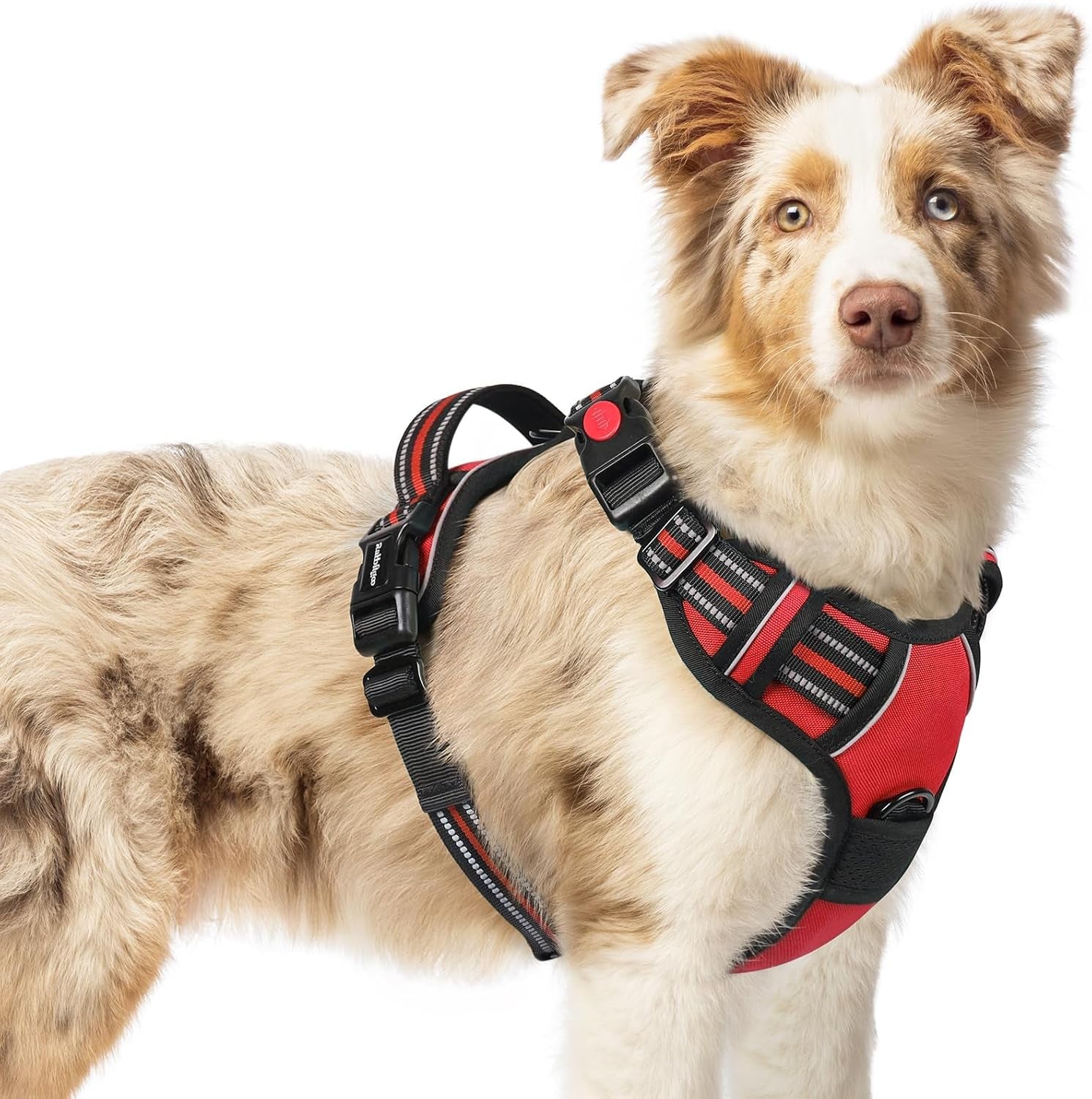 rabbitgoo-dog-harness-medium-sized-updated-easy-on-off-with-3-buckles-no-pull-no-choke-walking-with-2-clips-and-handle-adjustable-soft-reflective-blue-medium