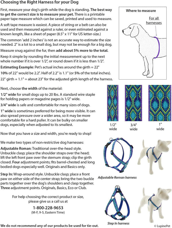 Lupinepet Originals 3/4" Turtle Reef 20-32" Adjustable Roman Dog Harness for Medium Dogs2