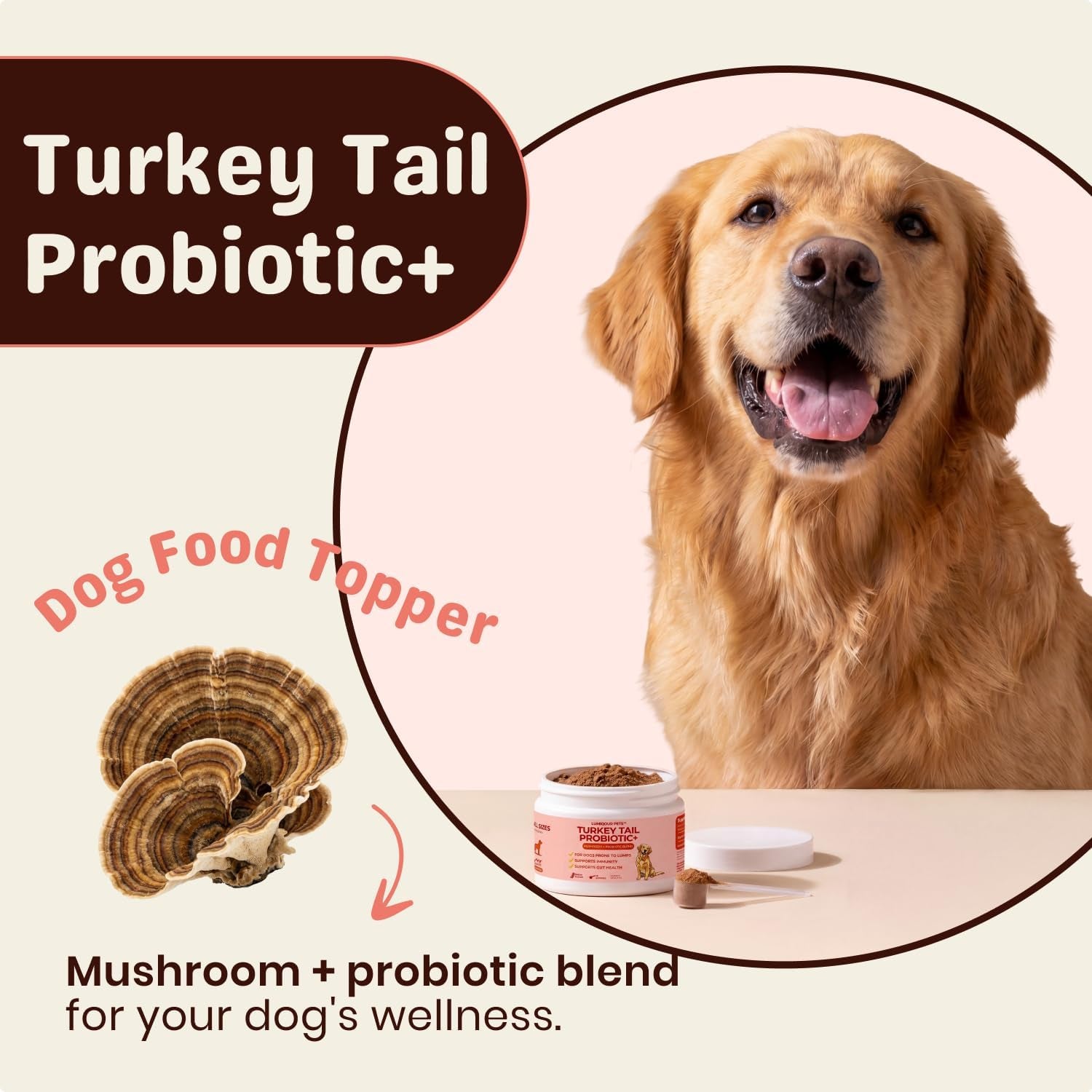 turkey-tail-mushroom-for-dogs-turkey-tail-mushroom-powder-with-probiotics-for-immune-and-digestive-support-supports-lumps-and-bumps-bacon-flavored-daily-dog-supplement