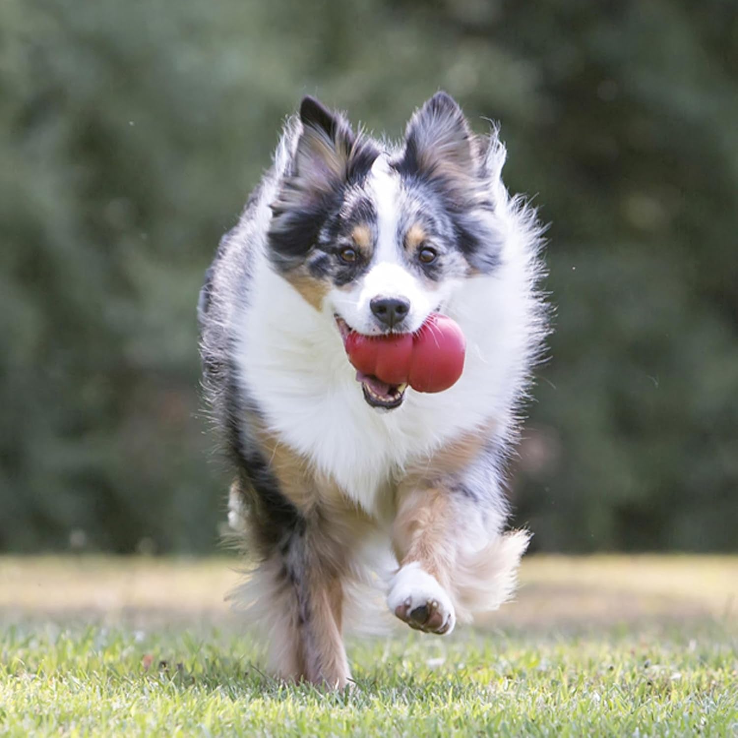 kong-classic-stuffable-dog-toy-fetch-chew-toy-for-dogs-treat-filling-capabilities-erratic-bounce-for-extended-play-time-durable-natural-rubber-material-for-large-dogs