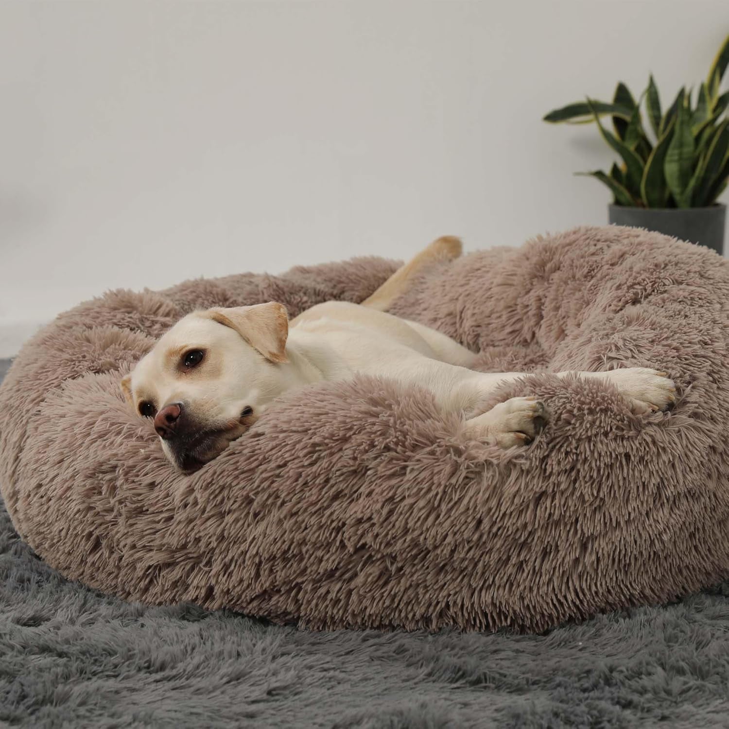 hachikitty-calming-donut-cuddler-dog-bed-round-fluffy-pet-bed-with-sewn-in-cushion-for-large-dogs-washable-large-taupe-30