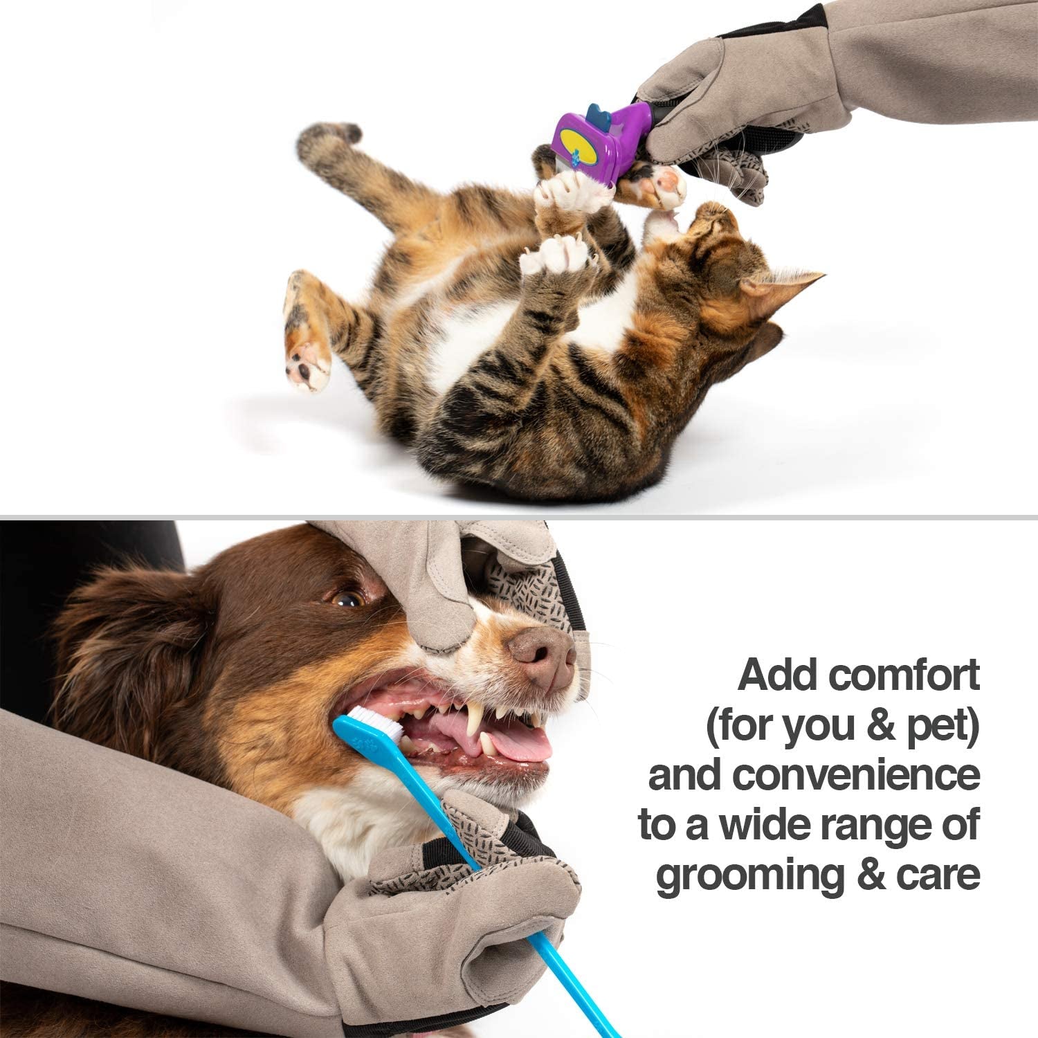 petfusion-multipurpose-pet-grooming-gloves-great-for-trips-to-vet-and-bathing-puncture-scratch-water-resistant