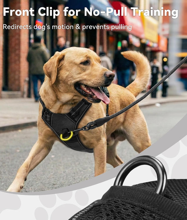 Joytale No Pull Dog Harness Medium Sized Dog, Front Clip, Black | Grab Handle for Instant Control, Padded & Adjustable Vest, Sturdy Metal D-Rings, for Safe Training & Daily Walking2