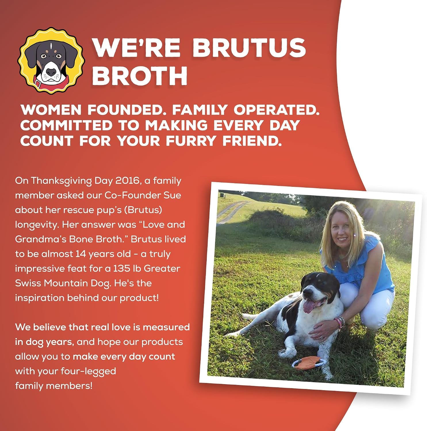 brutus-beef-bone-broth-for-dogs-all-natural-dog-bone-broth-with-liquidchondroitin-glucosamine-turmeric-human-grade-dog-food-toppers-for-picky-eaters-tasty-nutritious-16-9oz-pack-of-6