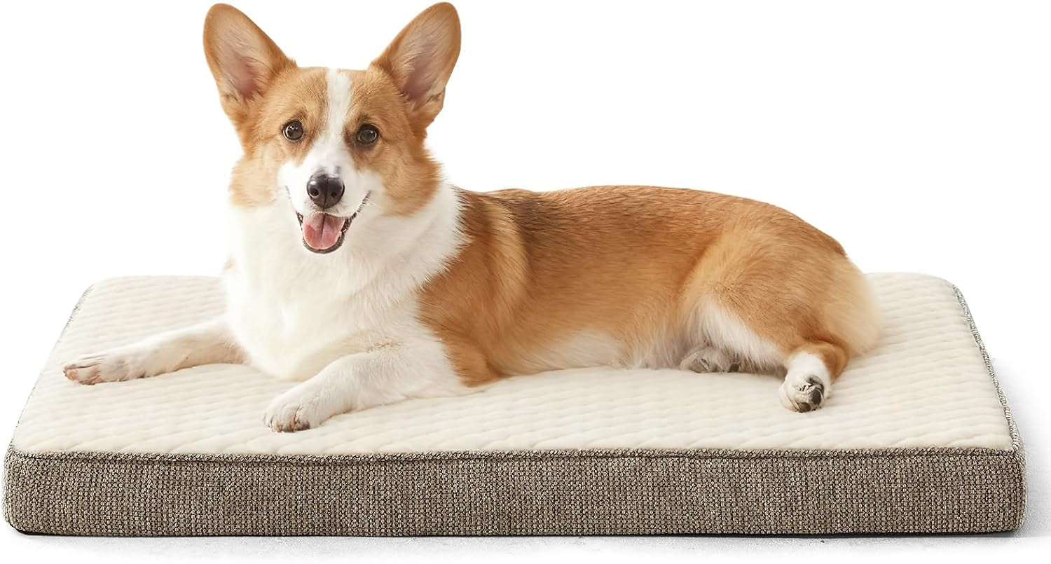 joejoy-orthopedic-xl-dog-bed-for-large-dogs-waterproof-dog-bed-for-crate-with-washable-removable-cover-extra-thick-egg-crate-memory-foam-pet-beds-grey-41x27