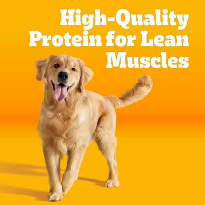 Pedigree High Protein Adult Dry Dog Food, Beef and Lamb, 18 Lb | Real Red Meat, 25% More Protein, 36 Vitamins & Minerals, Prebiotic Fiber, Omega 6 & Zinc, 100% Complete & Balanced2